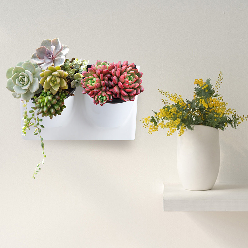 Self Watering Flower Pot Plast - đánh giá và giá Self-Watering Planter