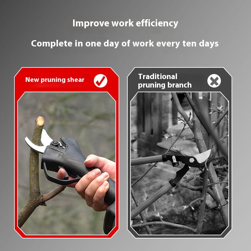 Portable Outdoor Cordless Elec - đánh giá và giá Pruning Shears