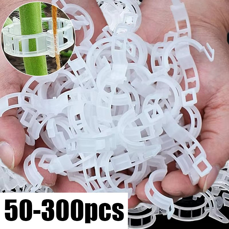50-300PCS Plant Support Clips  - đánh giá và giá Gardening Tools For Vines