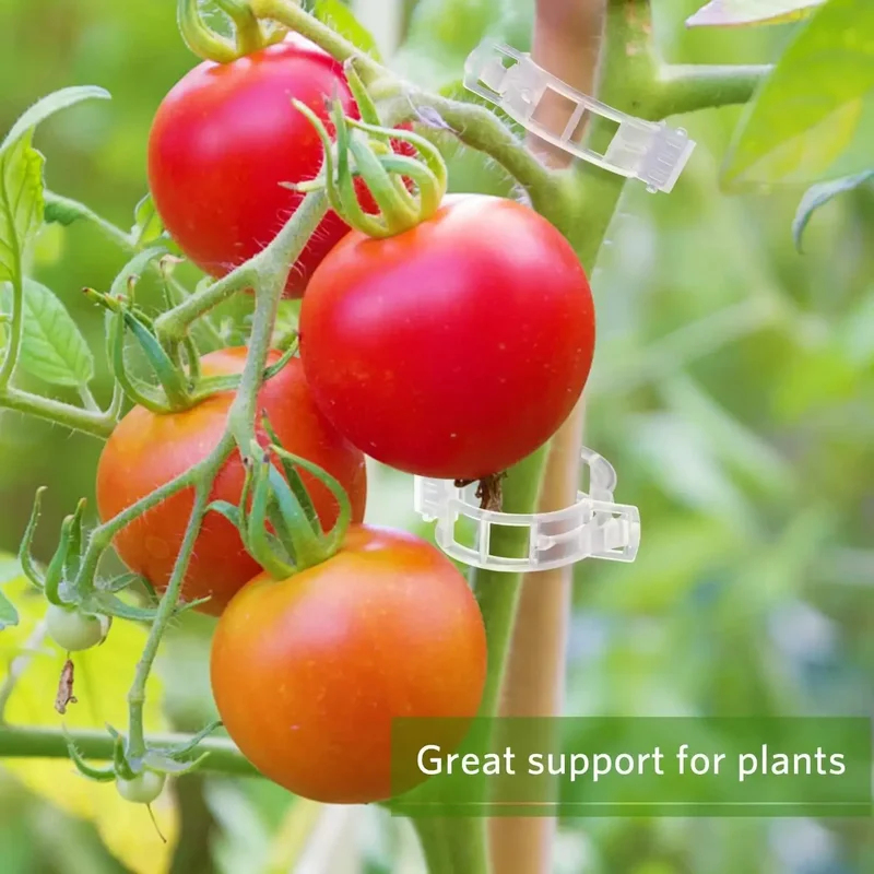 50-300PCS Plant Support Clips  - đánh giá và giá Gardening Tools For Vines