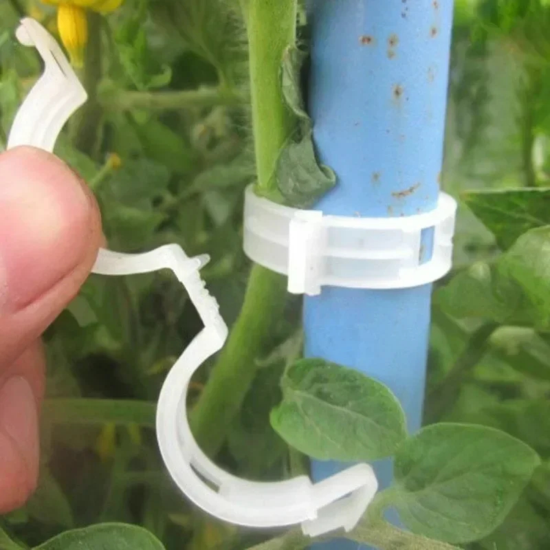 50-300PCS Plant Support Clips  - đánh giá và giá Gardening Tools For Vines