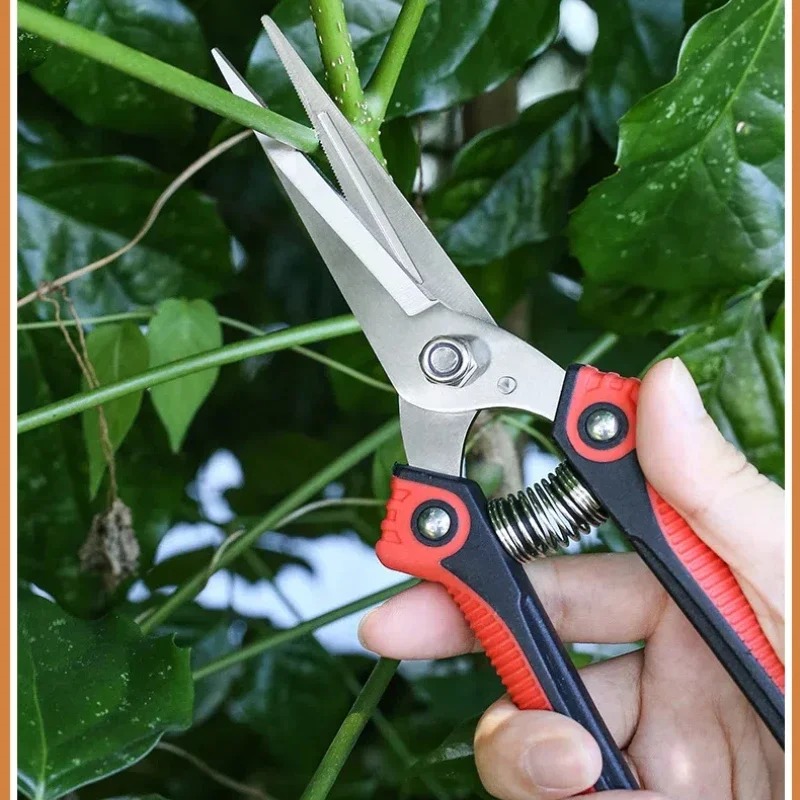 NEWSHARK Stainless Steel Pruni - đánh giá và giá Gardening Tools Sharp