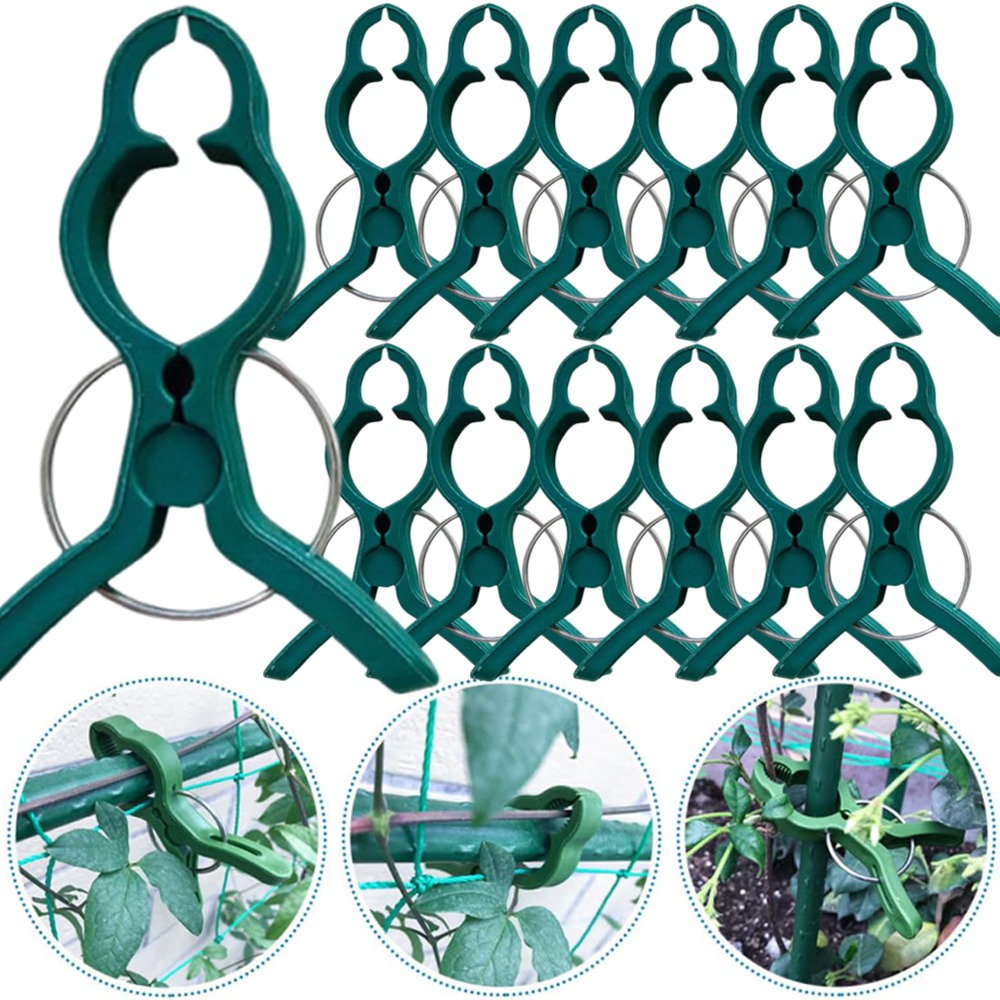 50/10PCS Plant Vegetable Suppo - đánh giá và giá Gardening Tools For Vines