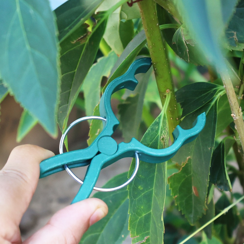 50/10PCS Plant Vegetable Suppo - đánh giá và giá Gardening Tools For Vines
