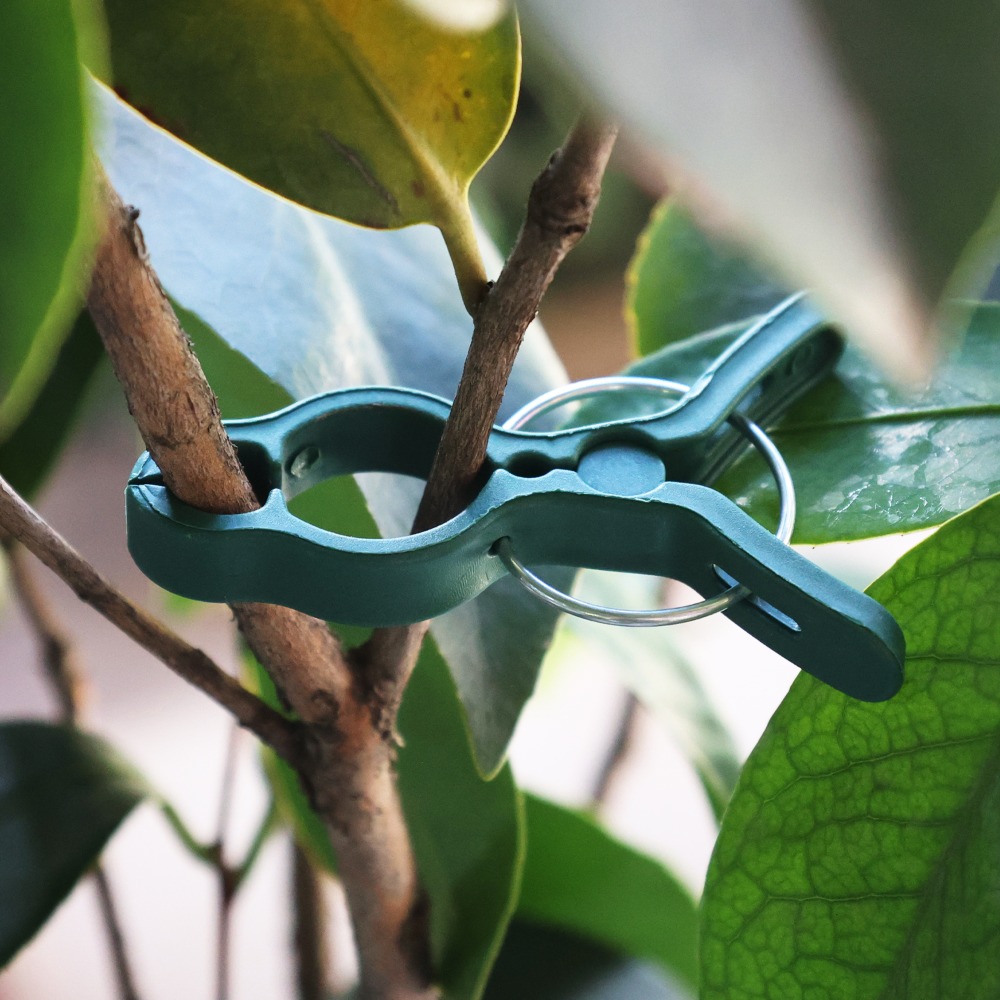 50/10PCS Plant Vegetable Suppo - đánh giá và giá Gardening Tools For Vines