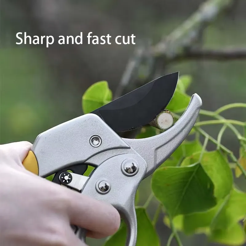 EE1 for Hot Selling High Carbo - đánh giá và giá Pruning Shears