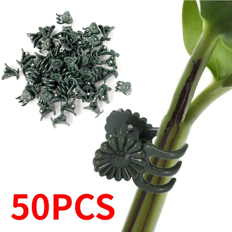 50PCS 5-Claw Dark Green Plant  - đánh giá và giá Gardening Tools For Vines