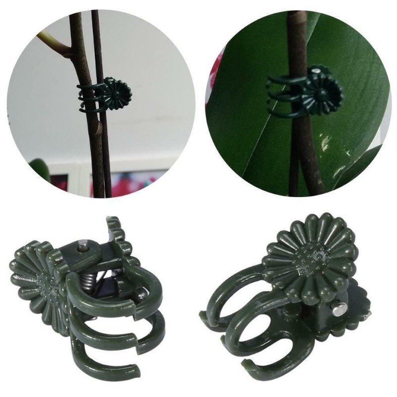50PCS 5-Claw Dark Green Plant  - đánh giá và giá Gardening Tools For Vines