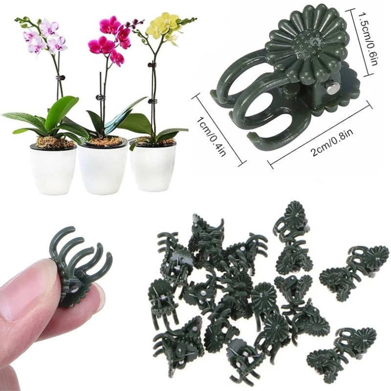 50PCS 5-Claw Dark Green Plant  - đánh giá và giá Gardening Tools For Vines