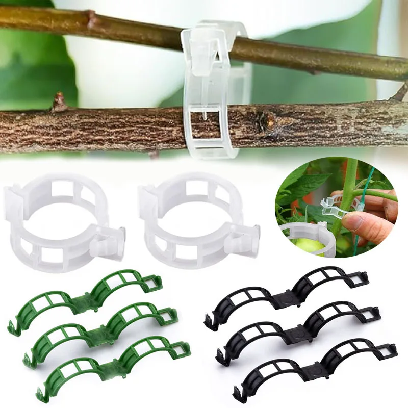 100PCS Plant Fixing Clips Reus - đánh giá và giá Gardening Tools For Vines