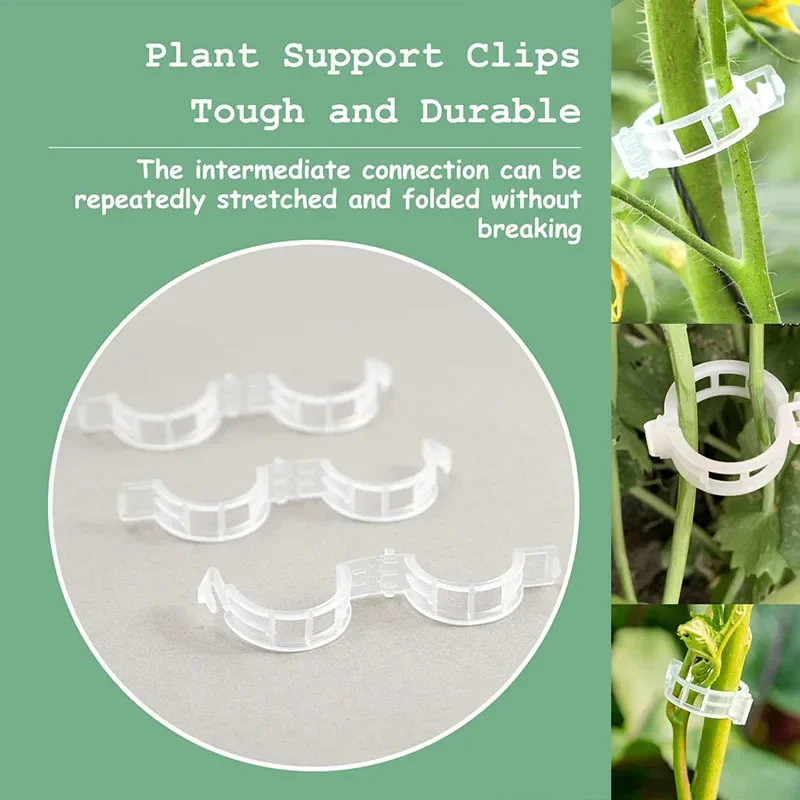 100PCS Plant Fixing Clips Reus - đánh giá và giá Gardening Tools For Vines