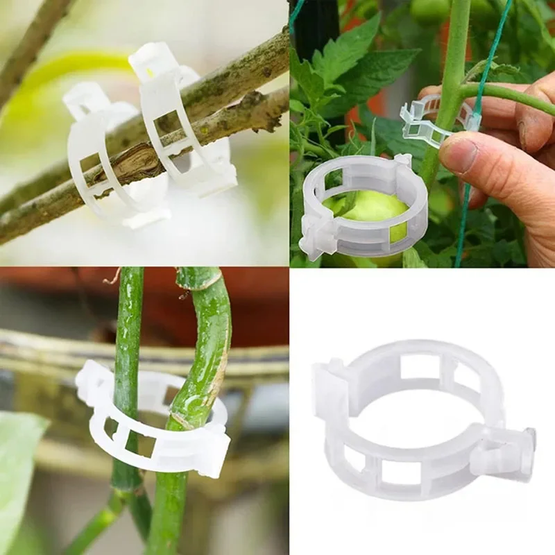 100PCS Plant Fixing Clips Reus - đánh giá và giá Gardening Tools For Vines