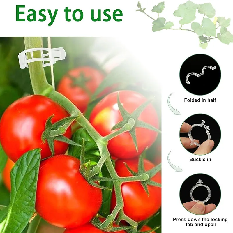 100PCS Plant Fixing Clips Reus - đánh giá và giá Gardening Tools For Vines