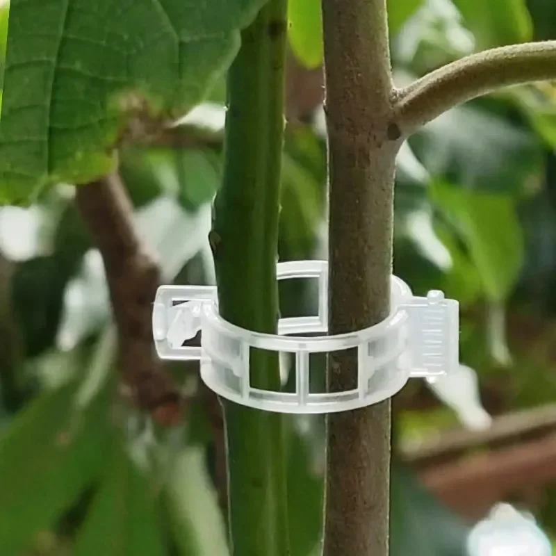 Plant Support Clips Reusable P - đánh giá và giá Gardening Tools For Vines