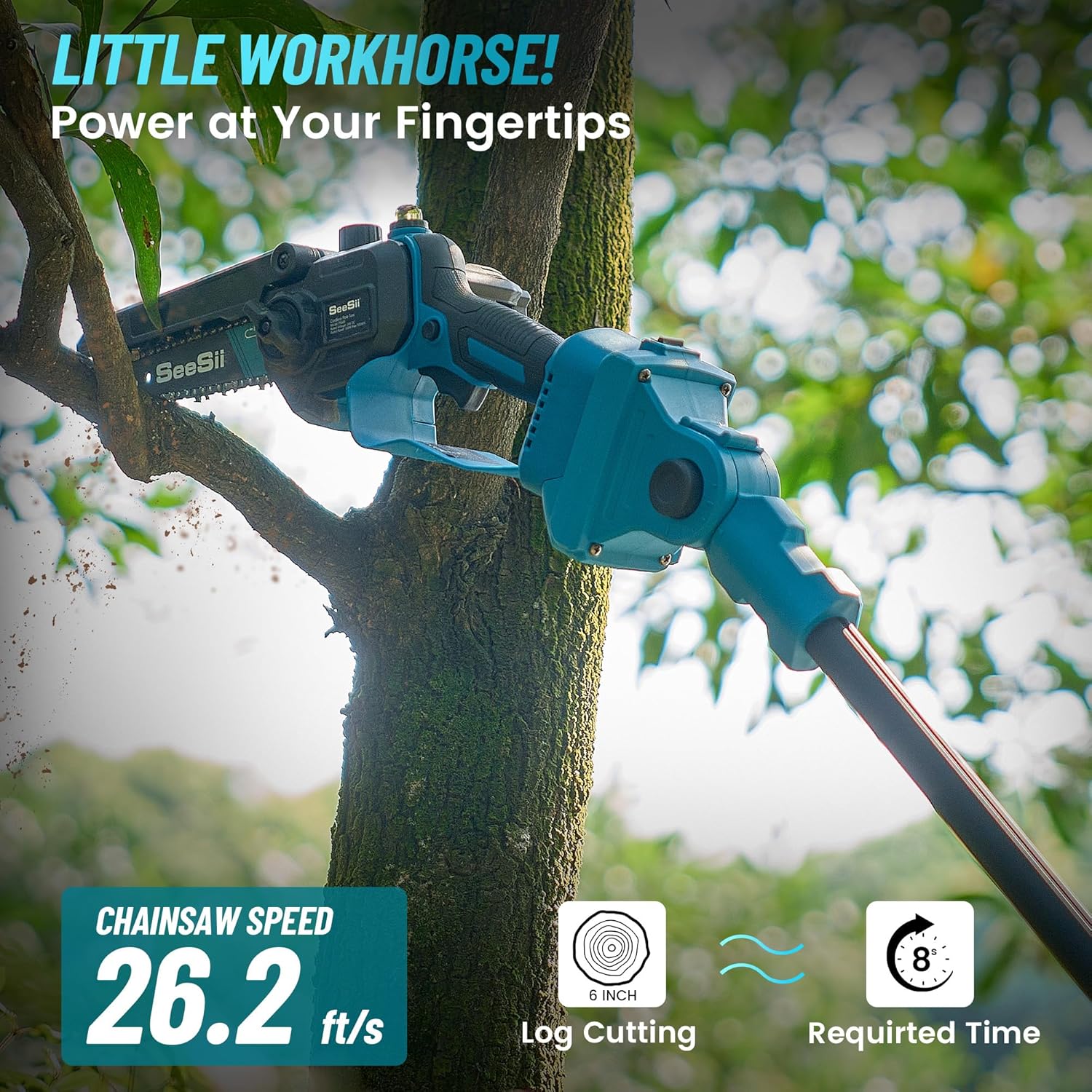 Garden Work Telescopic Pole Ch - đánh giá và giá Pruning Shears