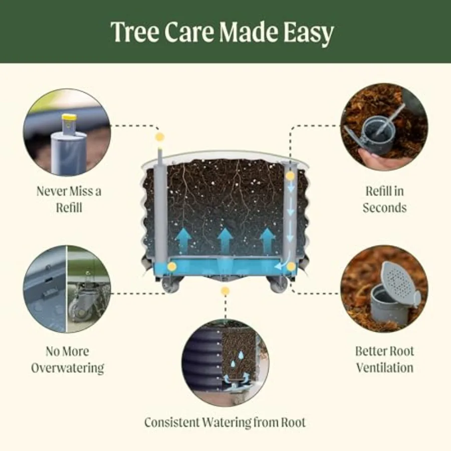 Rolling Citrus Tree Planter Ge - đánh giá và giá Self-Watering Planter
