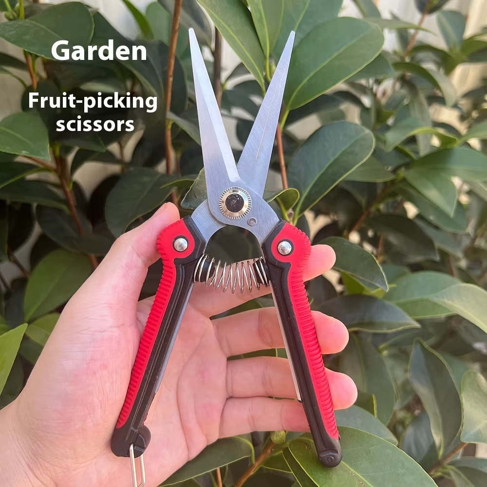 Professional Sharp Branch Scis - đánh giá và giá Gardening Tools Sharp