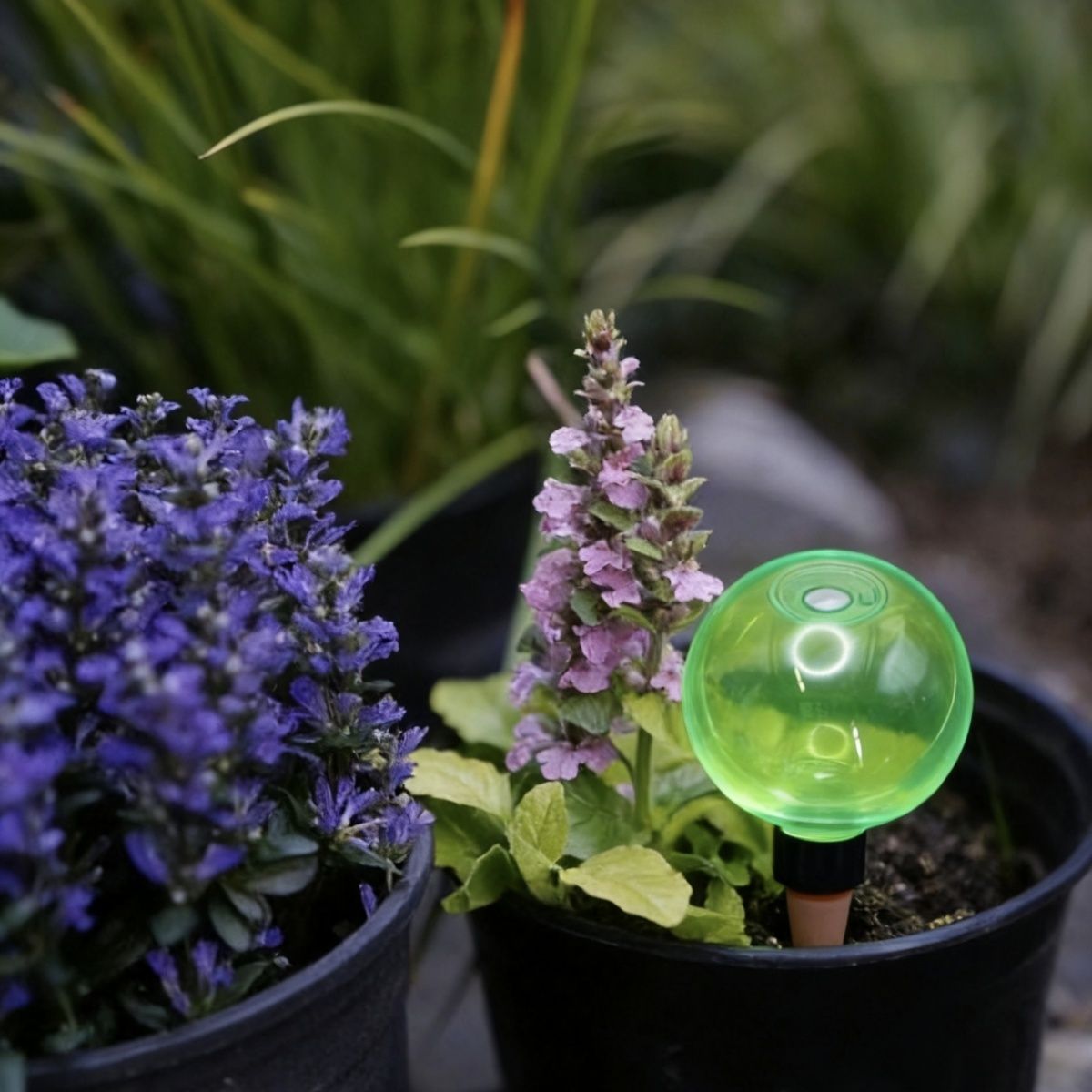 3pcs Large Plant Self Watering - đánh giá và giá Self-Watering Planter