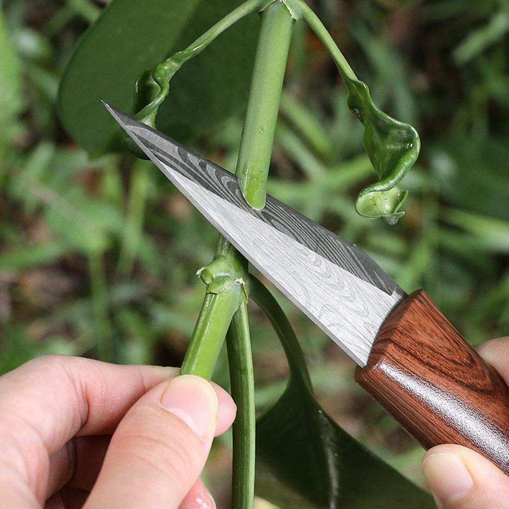 Sharp Grafting Knife with Wood - đánh giá và giá Gardening Tools Sharp