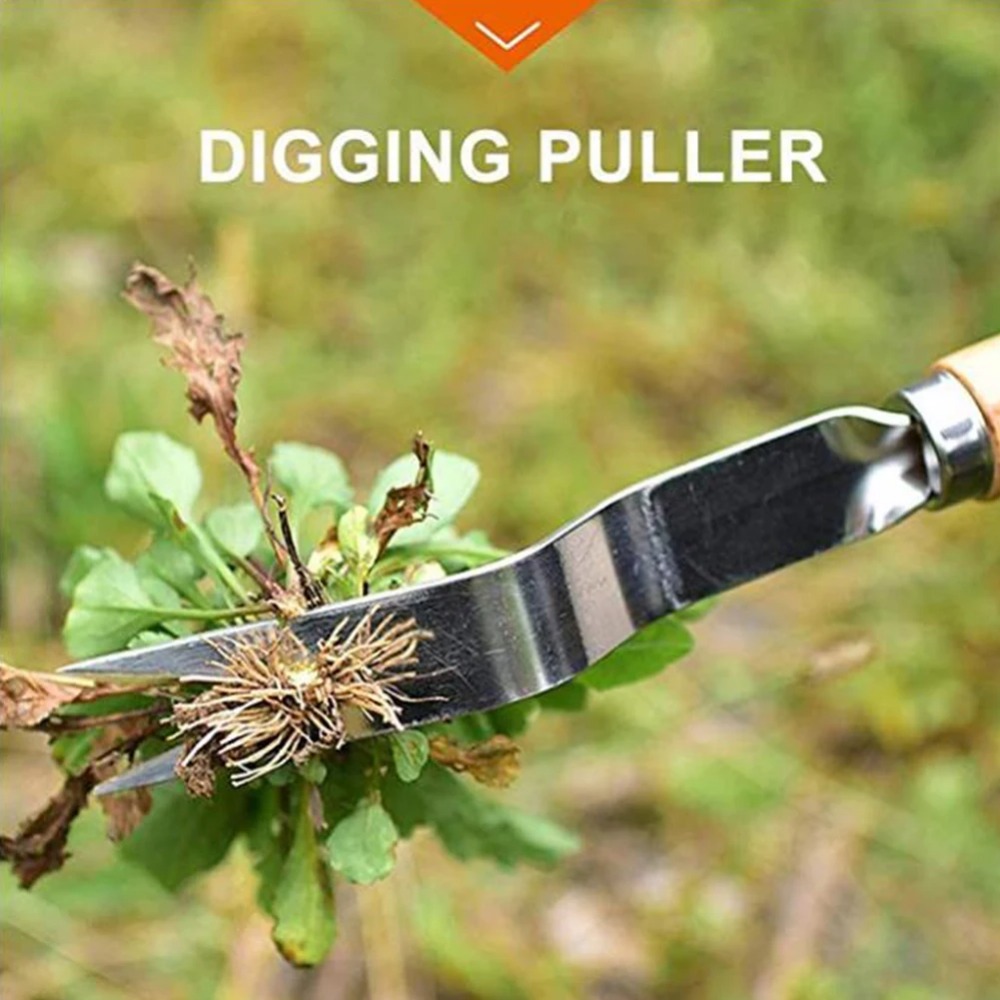 1pcs Wood Handle Stainless Ste - đánh giá và giá Gardening Tools To Remove Weeds