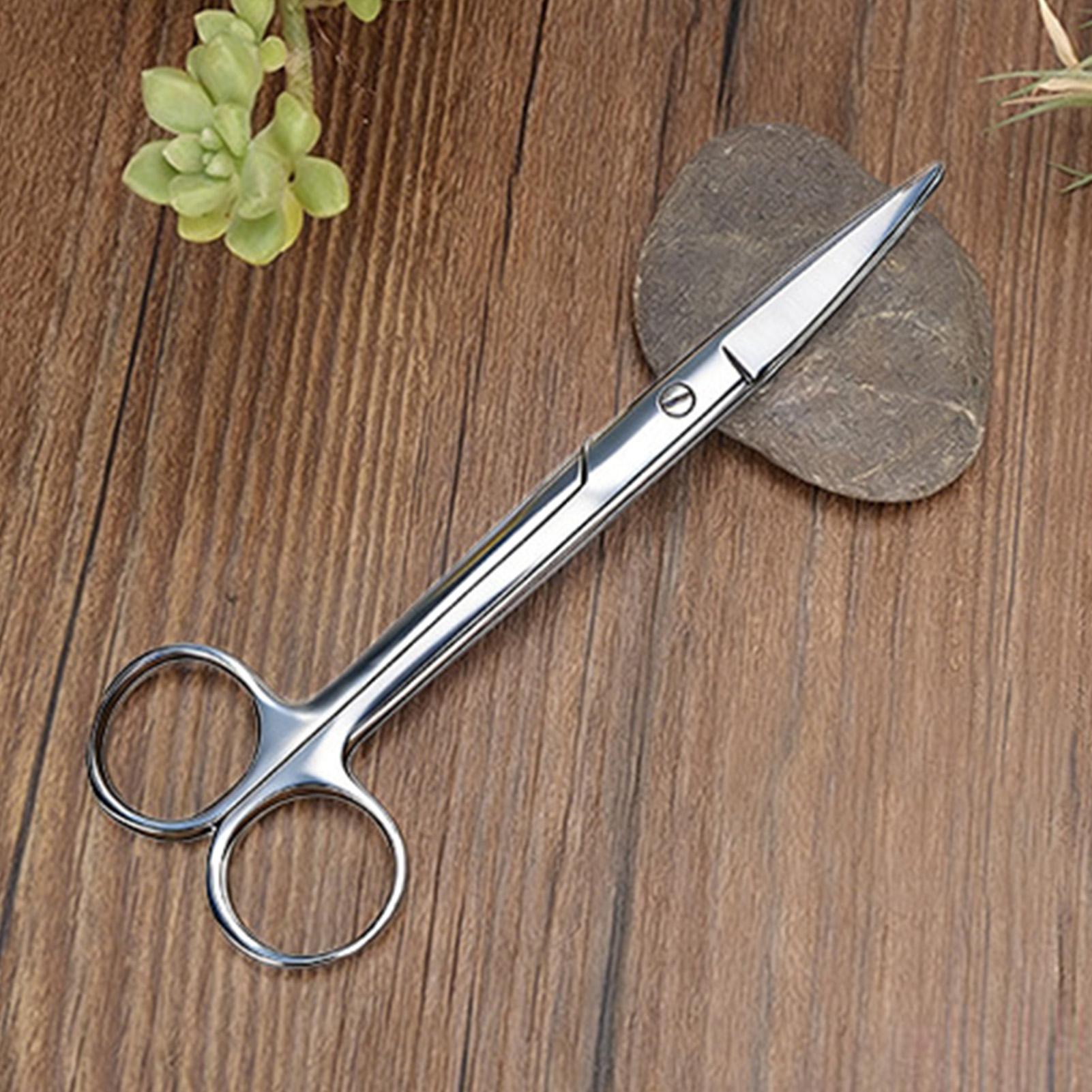 Plant Shears Stainless Steel E - đánh giá và giá Pruning Shears