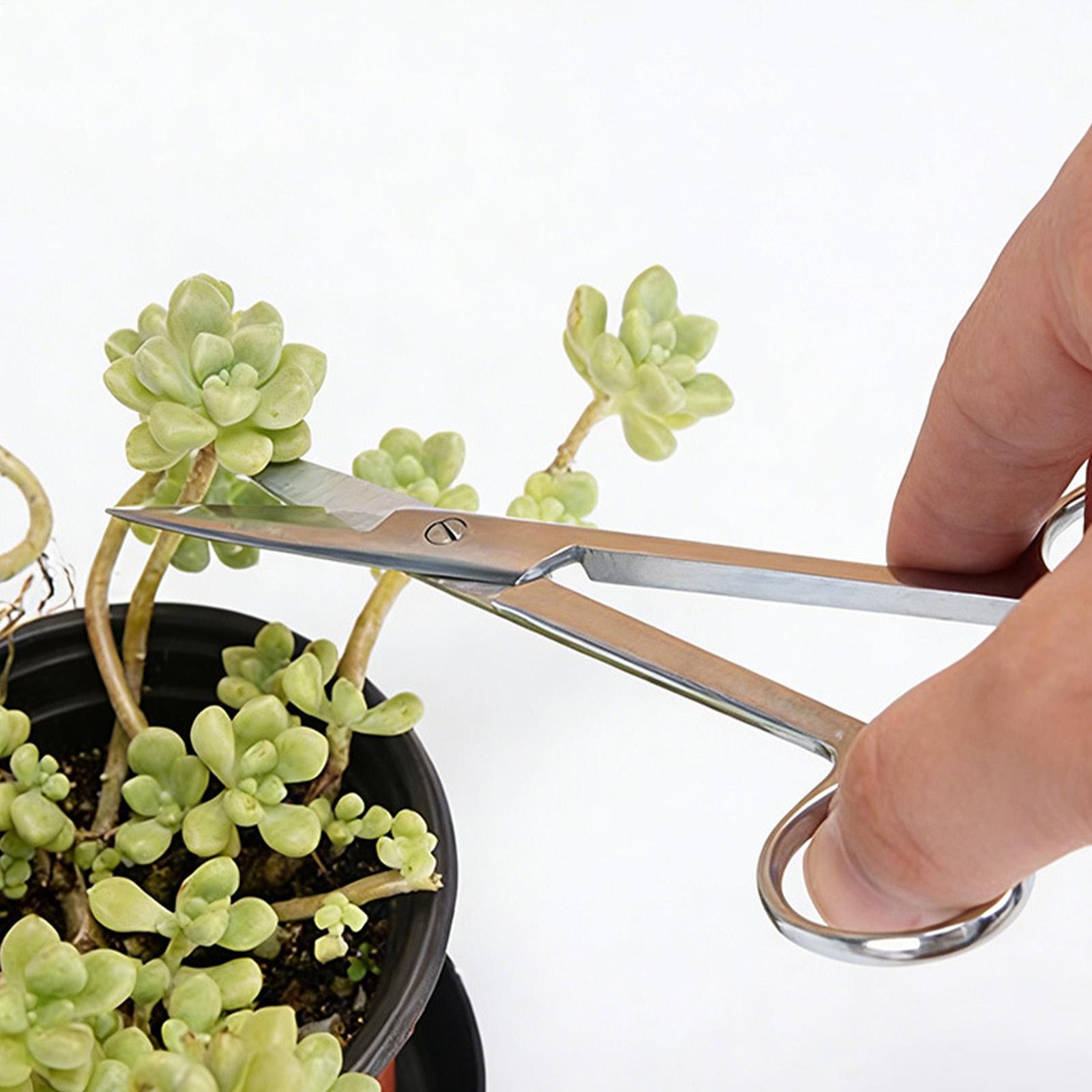 Plant Shears Stainless Steel E - đánh giá và giá Pruning Shears