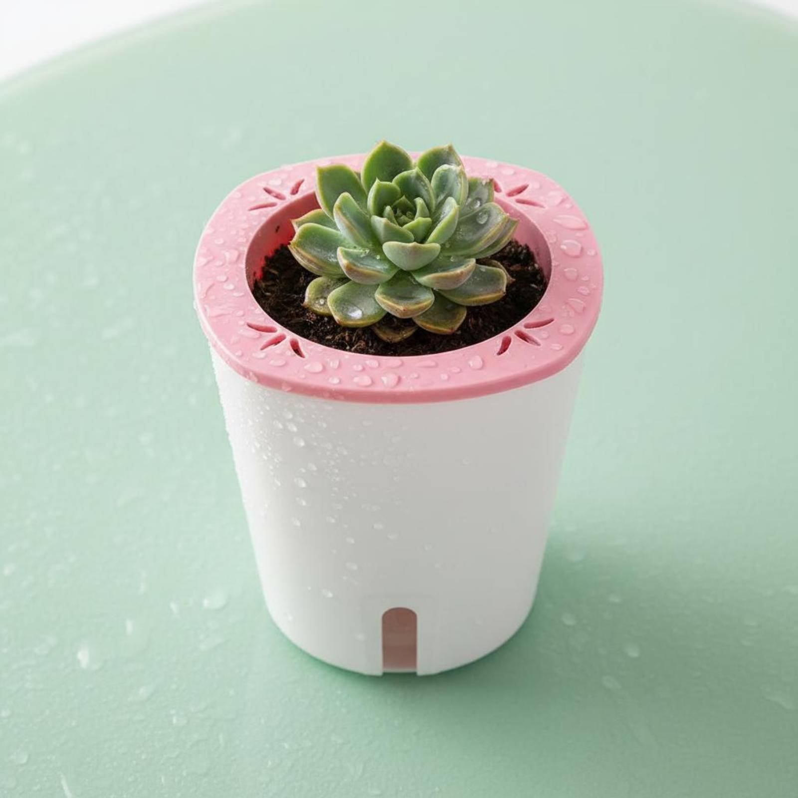 Self Watering Planter Large Si - đánh giá và giá Self-Watering Planter