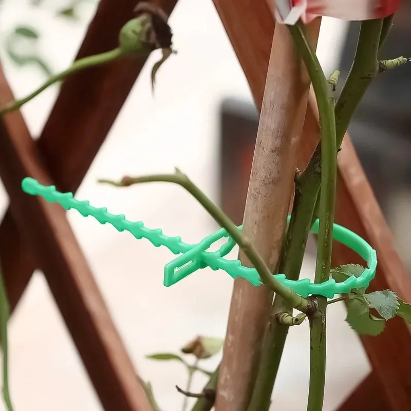 Reusable Garden Cable Ties Pla - đánh giá và giá Gardening Tools For Vines