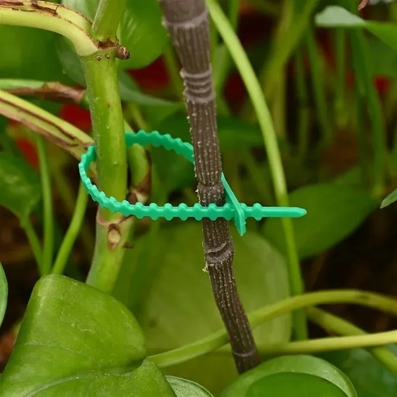 Reusable Garden Cable Ties Pla - đánh giá và giá Gardening Tools For Vines