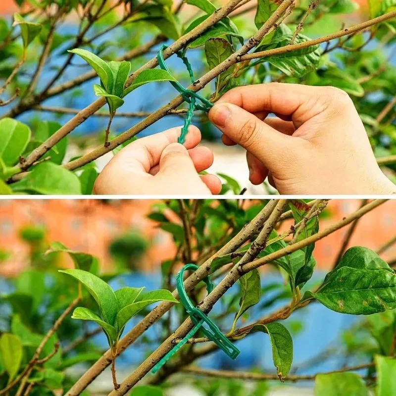 Reusable Garden Cable Ties Pla - đánh giá và giá Gardening Tools For Vines
