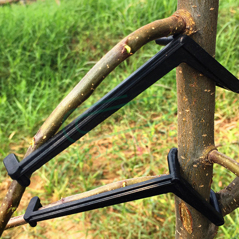 10-30 Chiếc Quả Cây Kẹp Vật Có - đánh giá và giá Gardening Tools For Vines