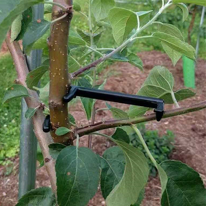 10-30 Chiếc Quả Cây Kẹp Vật Có - đánh giá và giá Gardening Tools For Vines