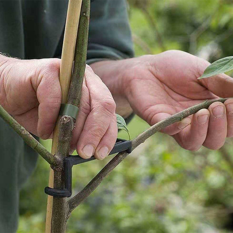 10-30 Chiếc Quả Cây Kẹp Vật Có - đánh giá và giá Gardening Tools For Vines