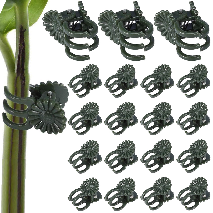 20/50/100PCS Plant Clips Vine  - đánh giá và giá Gardening Tools For Vines