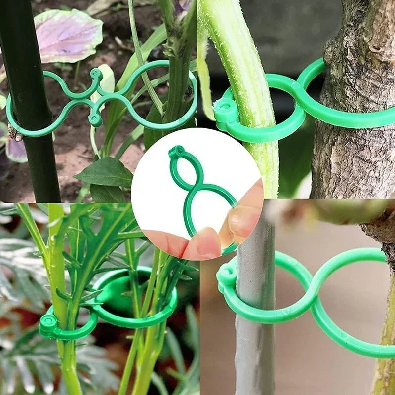 Plastic Garden Vine Strapping  - đánh giá và giá Gardening Tools For Vines