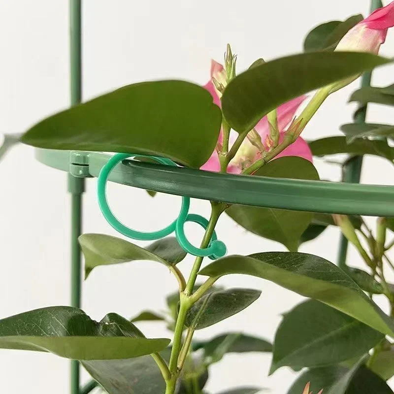 Plastic Garden Vine Strapping  - đánh giá và giá Gardening Tools For Vines