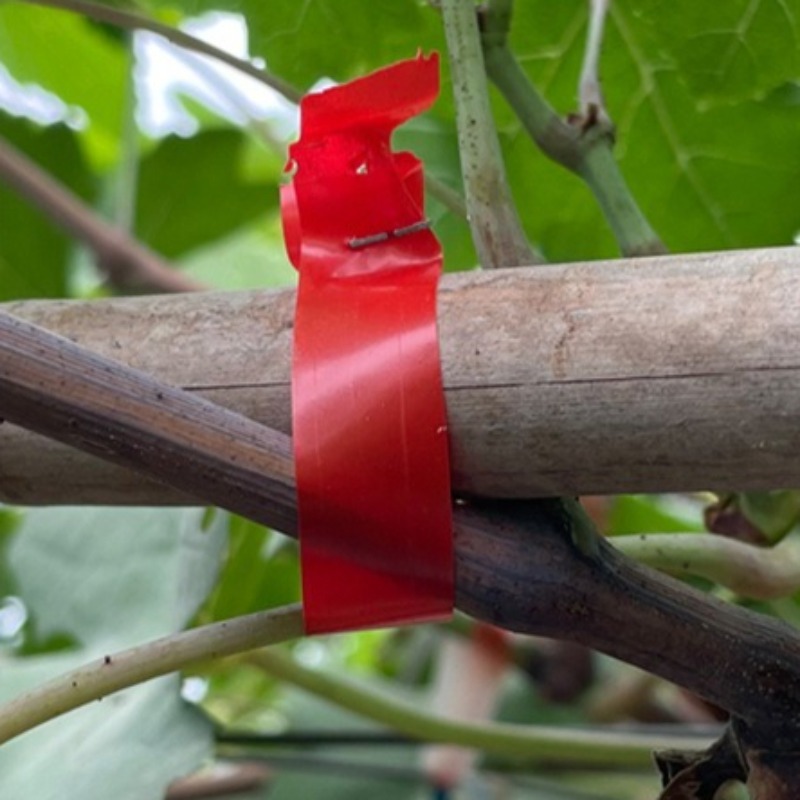 Grape Branch Binding Machine S - đánh giá và giá Gardening Tools For Vines
