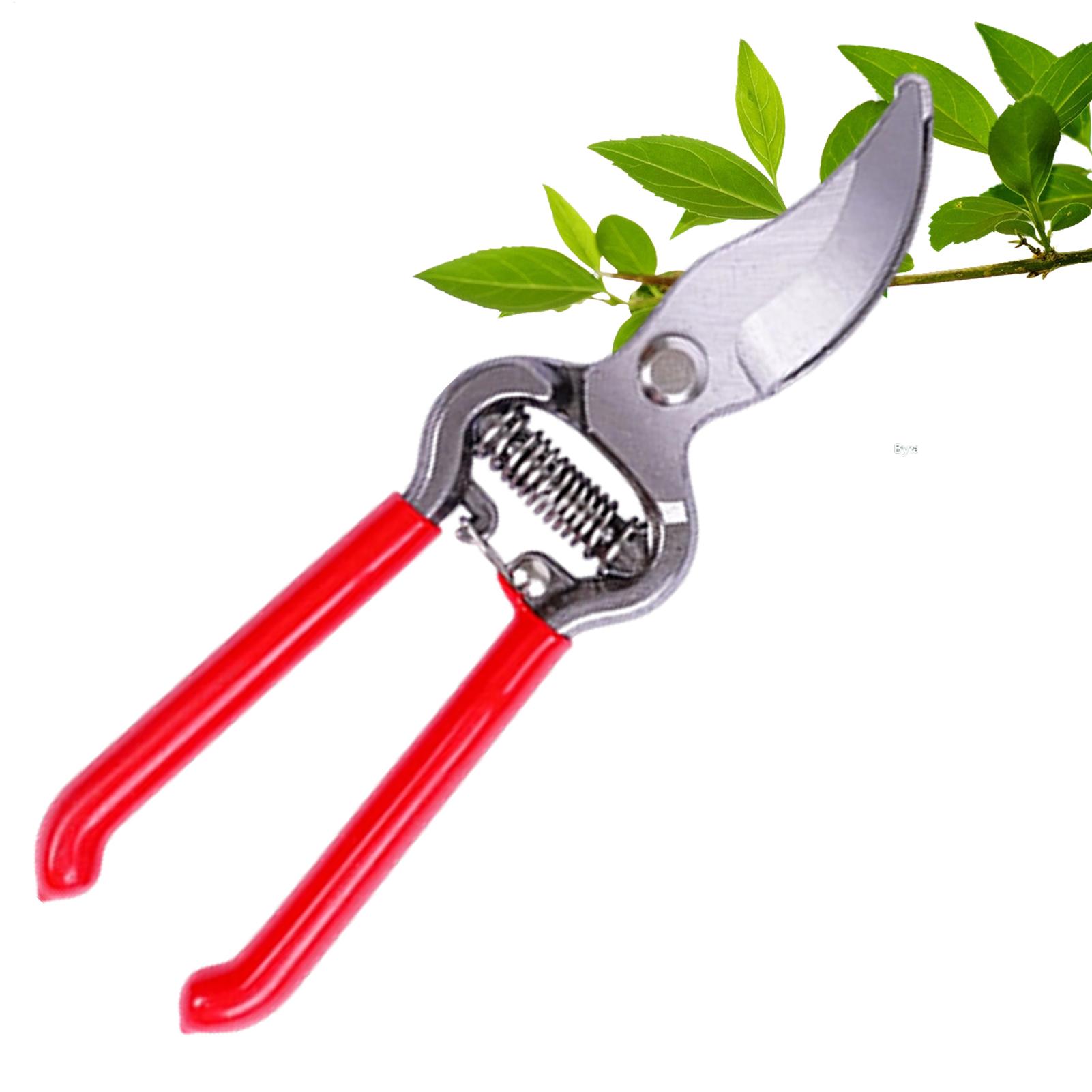 Plant Shears Potted Plant Hand - đánh giá và giá Pruning Shears