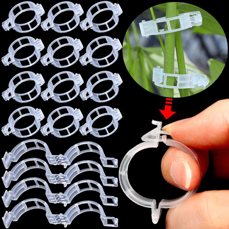 300/50PCS Plant Support Clips  - đánh giá và giá Gardening Tools For Vines
