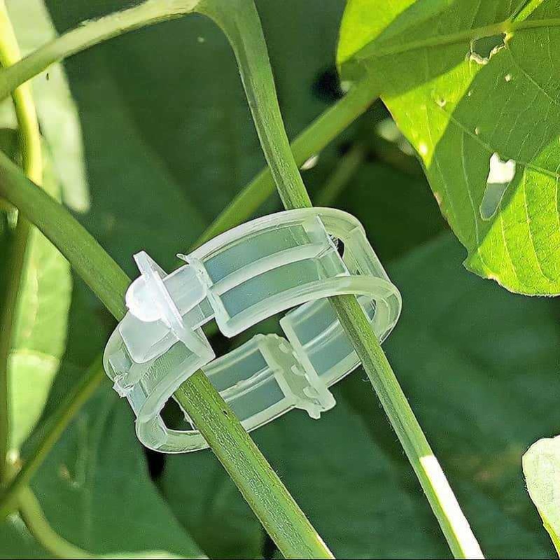 300/50PCS Plant Support Clips  - đánh giá và giá Gardening Tools For Vines