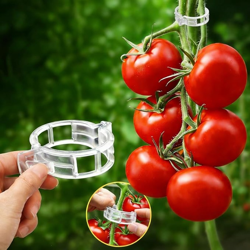 300/50PCS Plant Support Clips  - đánh giá và giá Gardening Tools For Vines